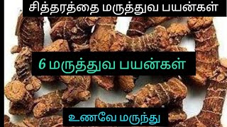 Health Benefits of Chitharathai in tamil சித்தரத்தை மருத்துவ பயன்கள் Nutrition Diary [upl. by Burnie]