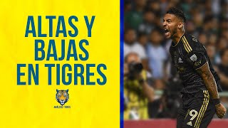 Futbol de Estufa Altas y bajas en Tigres para el Clausura 2024 [upl. by Alyss]