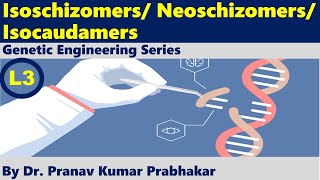 What is Isoschizomers Neoschizomers Isocaudamers pkprabhakar [upl. by Gnoz530]