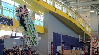 Leungs White Crane Lion Dance Team  High Pole  2023 ATS USA Nationals Lion Dance Championships [upl. by Pazit]