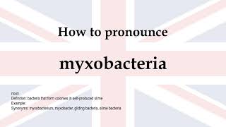 How to pronounce myxobacteria  meaning [upl. by Lyda]