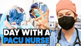 Nurse Day In The Life I What Does a PACU Nurse Do [upl. by Yvon]