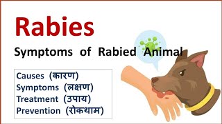 Rabies  Hydrophobia  Causes Symptoms [upl. by Chandos]