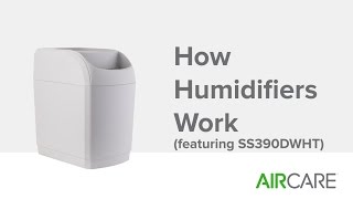 How Humidifiers Work featuring SS390DWHT [upl. by Toland]