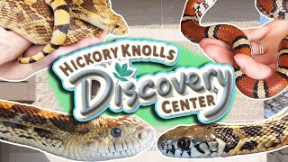 Touring Hickory Knolls Discovery Center [upl. by Chico90]