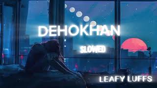 Dehokhan Slowed and Reverb [upl. by Carmelia]