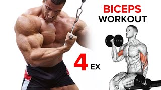 Best Biceps Exercises  Short Head  Long Head  Brachialis [upl. by Nerhtak369]