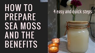 4 EASY AND QUICK SEA MOSS PREPARATION HOW TO MAKE SEA MOSS GEL AND THE BENEFITS [upl. by Ahserb]