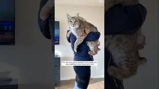 This girl rescued a motherless baby lynx and then animalshorts shortsvideo lynx [upl. by Berri]