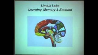 The Neuroscience of Learning and Memory [upl. by Sivrup]