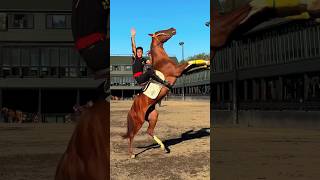 Ill surrender to life after I‘ve squandered my freedom👍 horsevideo horseridding horserider [upl. by Aihsenrad]