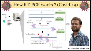 All about realtime PCR qRTPCR How it works Made Easy [upl. by Darcy]