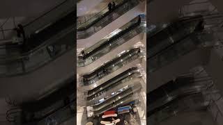 Shinsegae Centum City Escalator Busan Haeundae the worlds largest department store [upl. by Haroved]