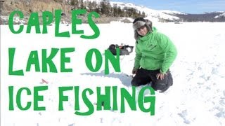 Caples Lake Ice Fishing California Rainbow Trout with the Jaw Jacker and Marcum [upl. by Adnarahs]