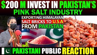 Exporting Himalayan Pink Salt Bricks To the USA From Pakistan  Pakistani Public Reactions [upl. by Abixah]