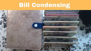 Bill Condensing of savings challenges for 100 envelopes challenge [upl. by Wiebmer521]