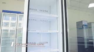 Upright Freezer from 210L to 1300LTemperature ≤18℃，1 door 2 doors 3 doors [upl. by Aklim]