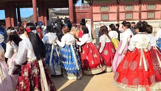 경복궁 마지막 단풍 보러 외국인들 대거 몰려와 한복 물결 장사진 Gyeongbokgung Palace Autumn Leaves Seoul [upl. by Connett]