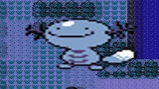 How to find Wooper in Pokemon Crystal [upl. by Arorua183]