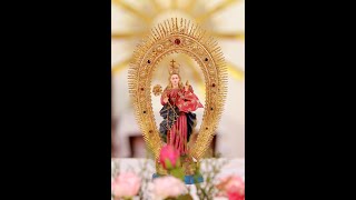 Holy MassNovenaAdoration Live 600AM 30112024From Manjumatha Basilica [upl. by Petta68]