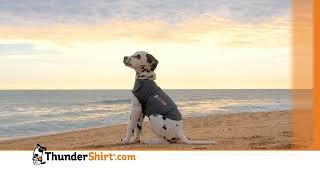 ThunderShirt® Commercial 2024 30s [upl. by Ahsineb897]