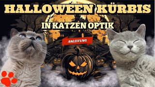 Katzen Halloween Kürbis selber schnitzen 🎃 Wir sind vom Ergebnis überrascht 🤩 [upl. by Jangro639]