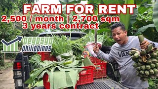 FARM FOR RENT 2500 PESOS LANG KADA BUWAN  Negosyo Philippines [upl. by Stieglitz]