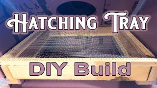 Hatching Tray  DIY Build [upl. by Darlleen]