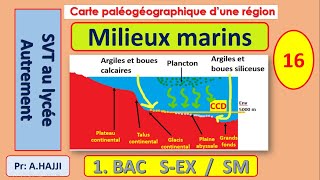 Sédimentation dans les milieux marins et niveau de compensation des carbonates CCD [upl. by Alister]