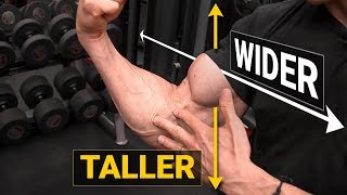 How to Get Bigger Biceps TALLER amp WIDER [upl. by Hakan]