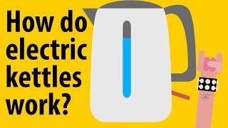 How do electric kettles work  Kitchen Appliance Explained [upl. by Ofori884]