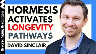 DAVID SINCLAIR quotHormesis Activates Longevity Pathwaysquot  Dr David Sinclair Interview Clips [upl. by Oinesra]