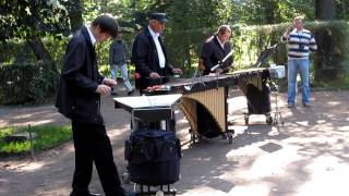 Vivaldi Four Seasons  Petrodvorets Percussion Orchestra [upl. by Anauqed]