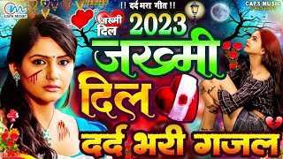 जख्मी दिल दर्द भरी गजल  New Gajal Geet 2023  Gazal Geet  Judai Hits Song  Sad Songs 2023 [upl. by Eisoj]