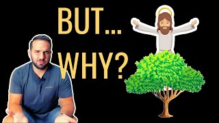 Why Did Jesus Curse the Fig Tree  Mark 111214 2025  2BeLikeChrist [upl. by Lucio]