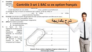 SVT 1BAC sc ex contrôle3  absorption de leau et des sels minéraux شرح بالداريجة [upl. by Jordanson467]