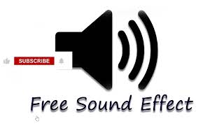 Record Scratch sound effect Free Sound Effect [upl. by Obla575]