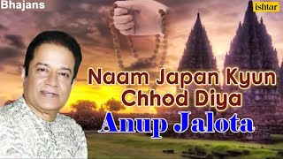 Naam Japan Kyun Chhod Diya  Anup Jalota  Best Hindi Bhajans  JUKEBOX  Popular Bhajans [upl. by Nowtna]