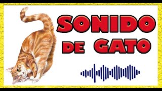 SONIDO de GATO Visión en 3D [upl. by Gregrory]