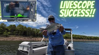 First Time Using Garmin Livescope I Caught Fish [upl. by Beaver801]