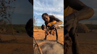 Wow Thats incredible delicious food 😋😲 See How hadzabe tribe survives middle of Junglefood [upl. by Lolande413]