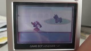 Full Odds Shiny Mudkip in Pokemon Sapphire 2665 SRs Pokemon Sapphire Badge Quest Part 1 [upl. by Ikir]