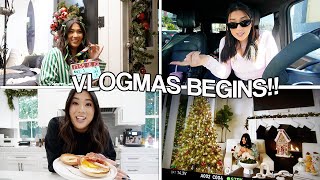 VLOGMAS BEGINS Hosting a huge party  christmas shopping [upl. by Ardnaskela]