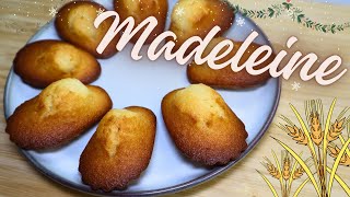 Maître des Madeleines La Recette Traditionnelle pour des Délices Fondants  CAP Pâtisserie [upl. by Balac]