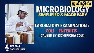 LABORATORY EXAMINATION OF COLI  ENTERITIS தமிழில்  ECOLI BACTERIA 🦠  Microbiology 🧫 MADE EASY [upl. by Elleirbag]