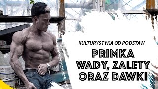 Kulturystyka od Podstaw  Primka Wady zalety oraz dawki [upl. by Lynnet]