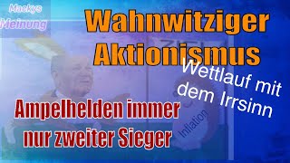 Scholz und Co  Aufgabe die beste Option  Ampelregierung rennt ihrem eigenen Wahnsinn hinterher [upl. by Ahseirej]