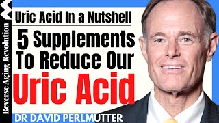 WHY Uric Acid Is Bad For Longevity 5 SUPPLEMENTS To Reduce It  Dr David Perlmutter Interview Clips [upl. by Reham331]