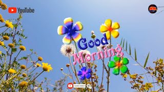 good morning apps good morning status good morning Malayalam status  Malayalam good night status [upl. by Elfie490]