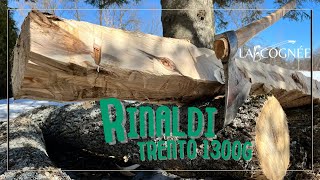 8 maple log hewing session w Rinaldi Trento 1300g 307N5 [upl. by Dlorag]